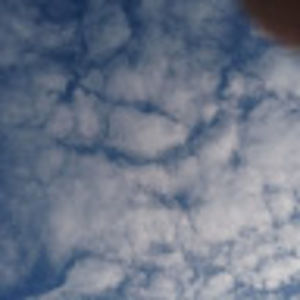 Meet your Posher, Nicki